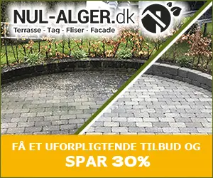 Nul alger