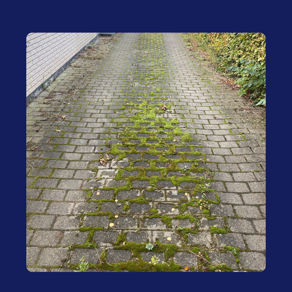 Fliserens3 Rensfliser